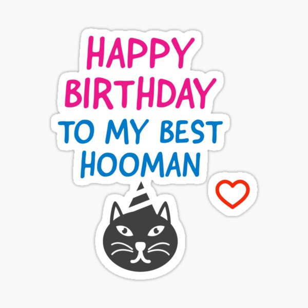happy birthday to my best hooman cat gift Sticker