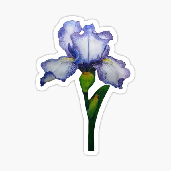 Autocollant Fleur iris violet - Sticker A moi Etiquette & Autocollant