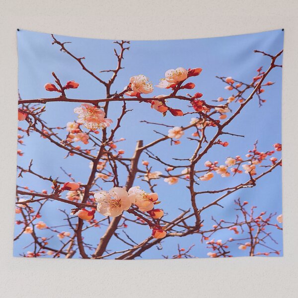 Item preview, Cherry blossoms (6) designed and sold by JenChoi.