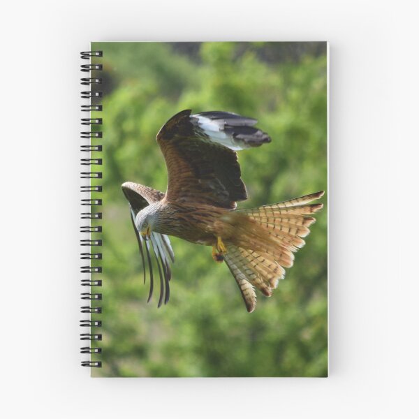 Item preview, Red Kite designed and sold by Rob Parsons (Just a Walker with a Camera).
