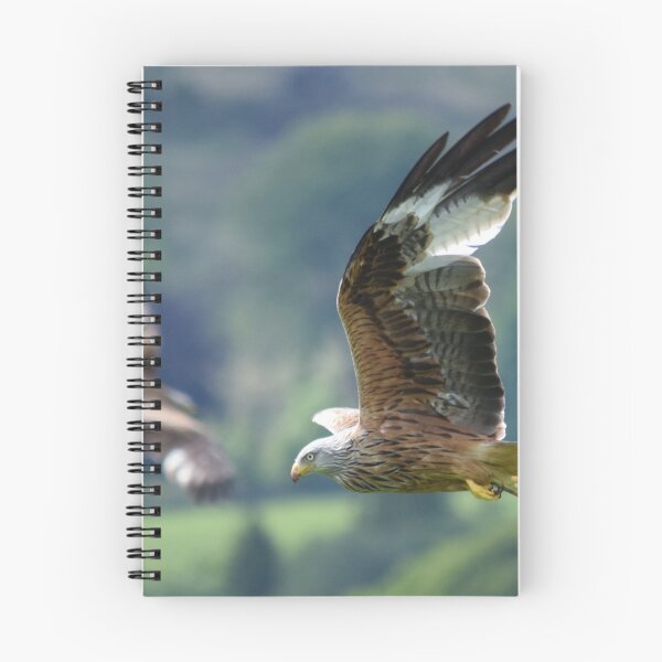 Item preview, Red Kite designed and sold by Rob Parsons (Just a Walker with a Camera).