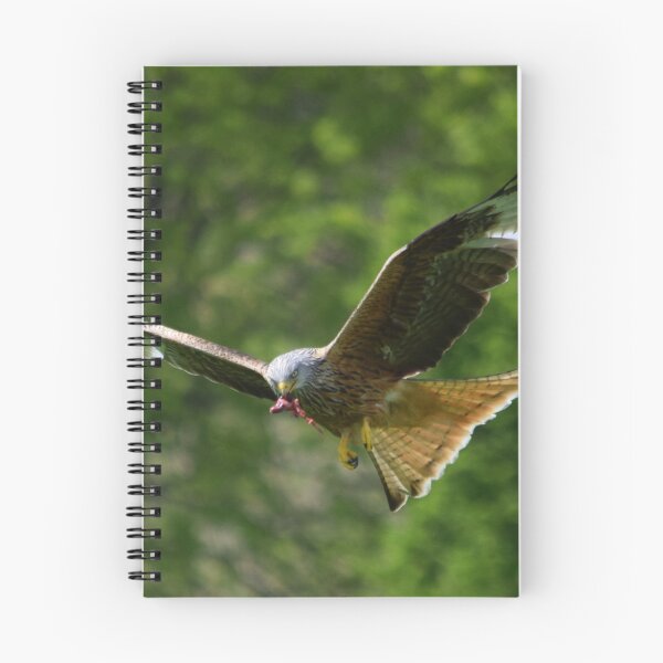 Item preview, Red Kite designed and sold by Rob Parsons (Just a Walker with a Camera).