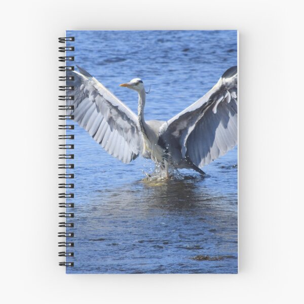 Item preview, Heron: In a Flap designed and sold by Rob Parsons (Just a Walker with a Camera).