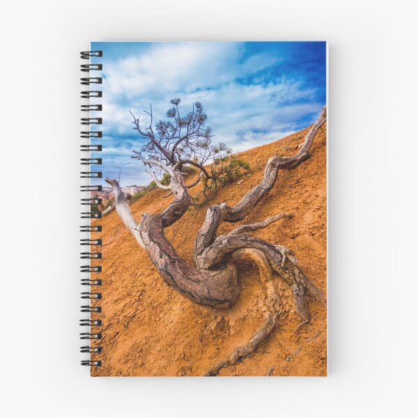 Item preview, Bryce 3 - 1 designed and sold by BGSPhoto.