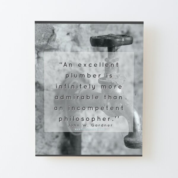 An excellent plumber is infinitely more admirable than... - John W. Gardner Wood Mounted Print
