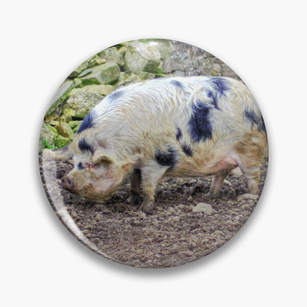 Item preview, This little piggy designed and sold by tomg.
