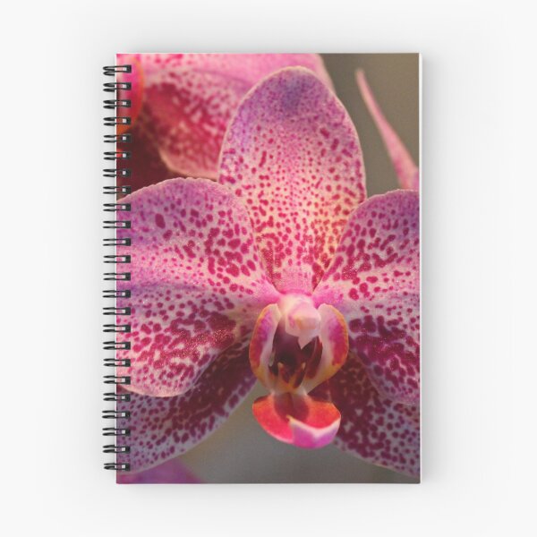 Item preview, Brilliance Redefined designed and sold by Michiale.
