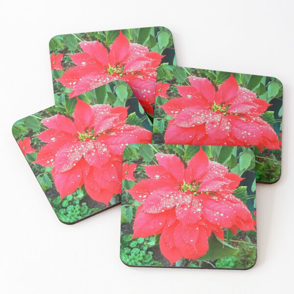 Item preview, Poinsettia Flower with Water Droplets designed and sold by TropicalFronds.