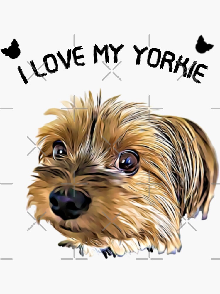 Yorkie love sales