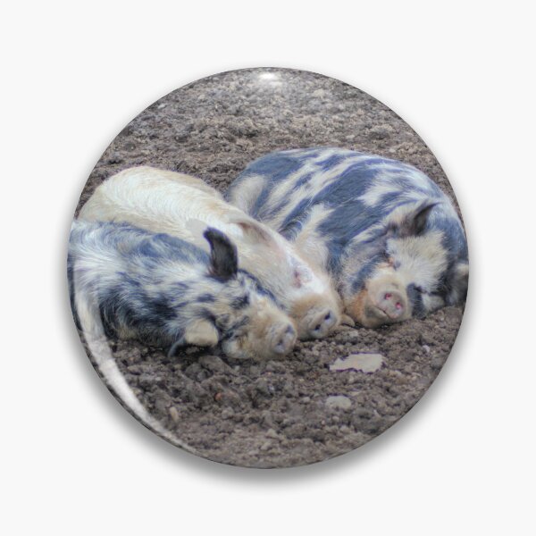 Item preview, Three little piggies designed and sold by tomg.