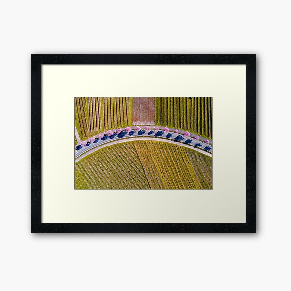Sakura Sky Luxembourg Framed Art Print