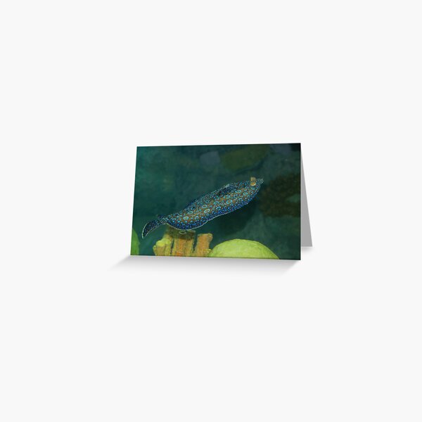 Flounder Greeting Card