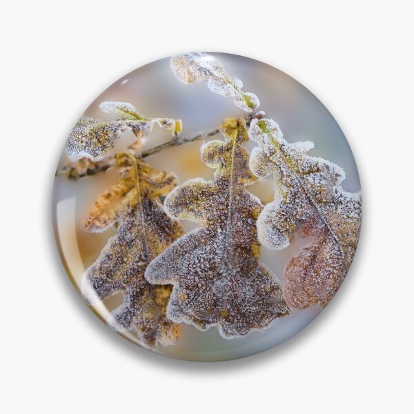 Item preview, Frost covered Oak leaves designed and sold by Hugh McKean.