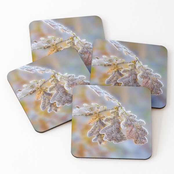 Item preview, Frost covered Oak leaves designed and sold by Hugh McKean.