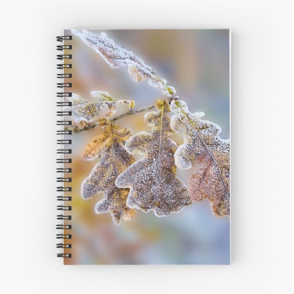 Item preview, Frost covered Oak leaves designed and sold by Hugh McKean.
