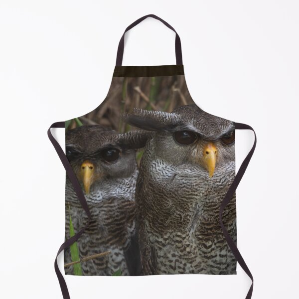 Item preview, Malay Eagle Owl  designed and sold by David ST Loh Images.
