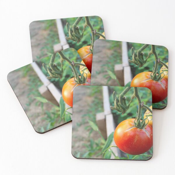 Item preview, Two tomatoes on a vine in a greenhouse designed and sold by Mahirov Shop.