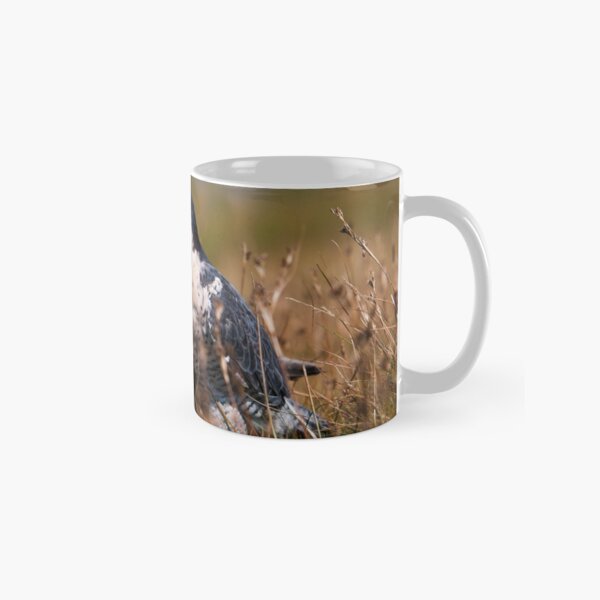 Peregrine Falcon close-up Classic Mug