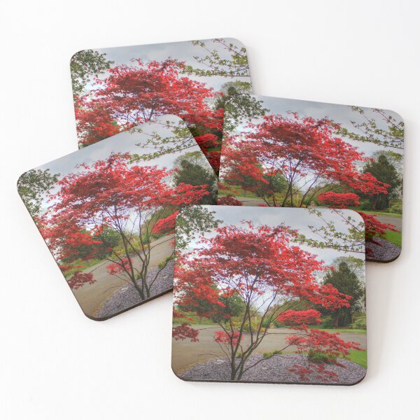 Item preview, Red bush designed and sold by tomg.