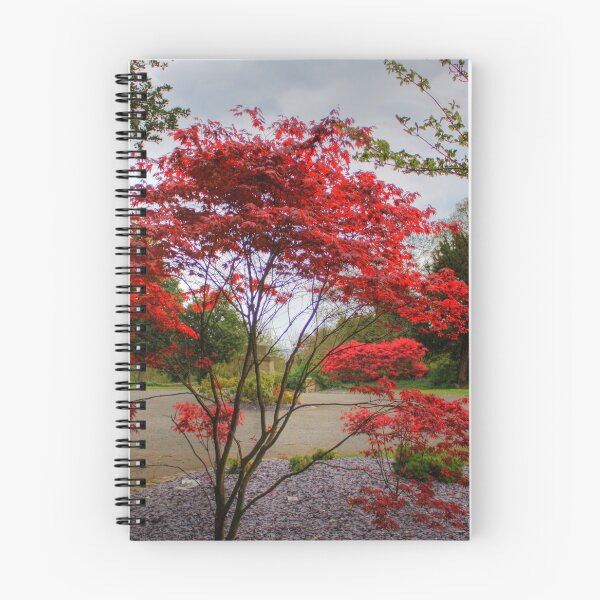 Item preview, Red bush designed and sold by tomg.