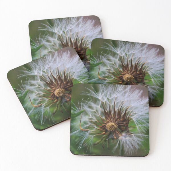 Item preview, Dandelion plant designed and sold by Mahirov Shop.