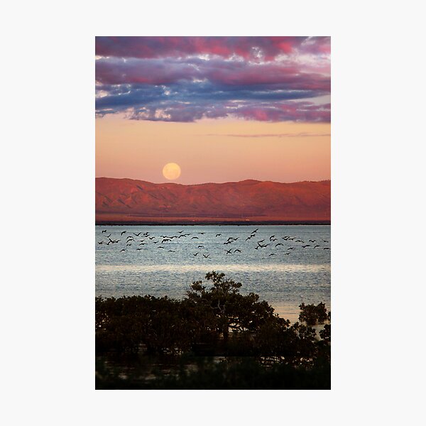 Sunset Odyessy Photographic Print