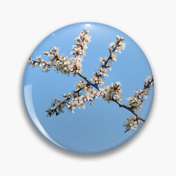 Item preview, Blackthorn blossom, Prunus spinosa  designed and sold by Hugh McKean.