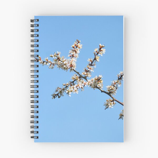 Item preview, Blackthorn blossom, Prunus spinosa  designed and sold by Hugh McKean.