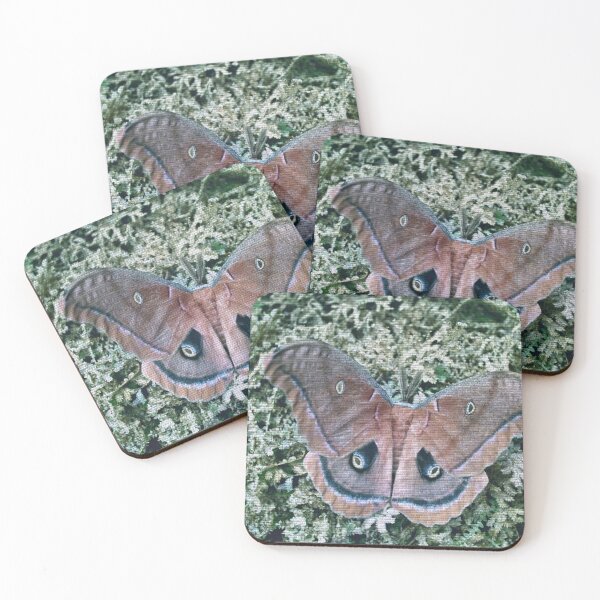Item preview, Pseudomurals 00036 (Polyphemus Moth on Fern) designed and sold by CleanWIP.