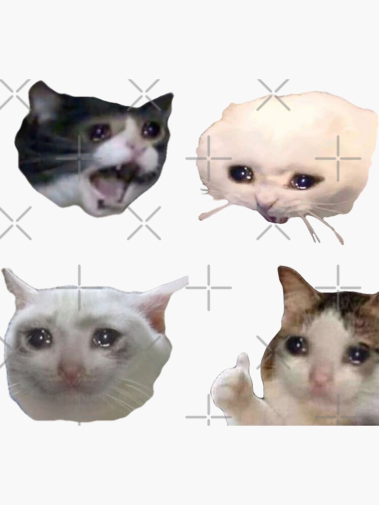 "Crying cats meme pack" Sticker by Bountee Redbubble