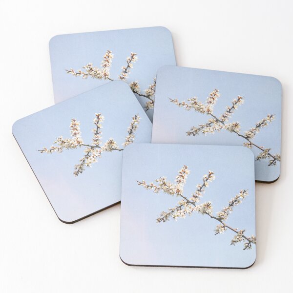Item preview, Blackthorn blossom, Prunus spinosa  designed and sold by Hugh McKean.