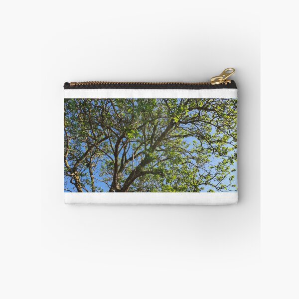 Item preview, Spring trees Photography designed and sold by s10-Photography.