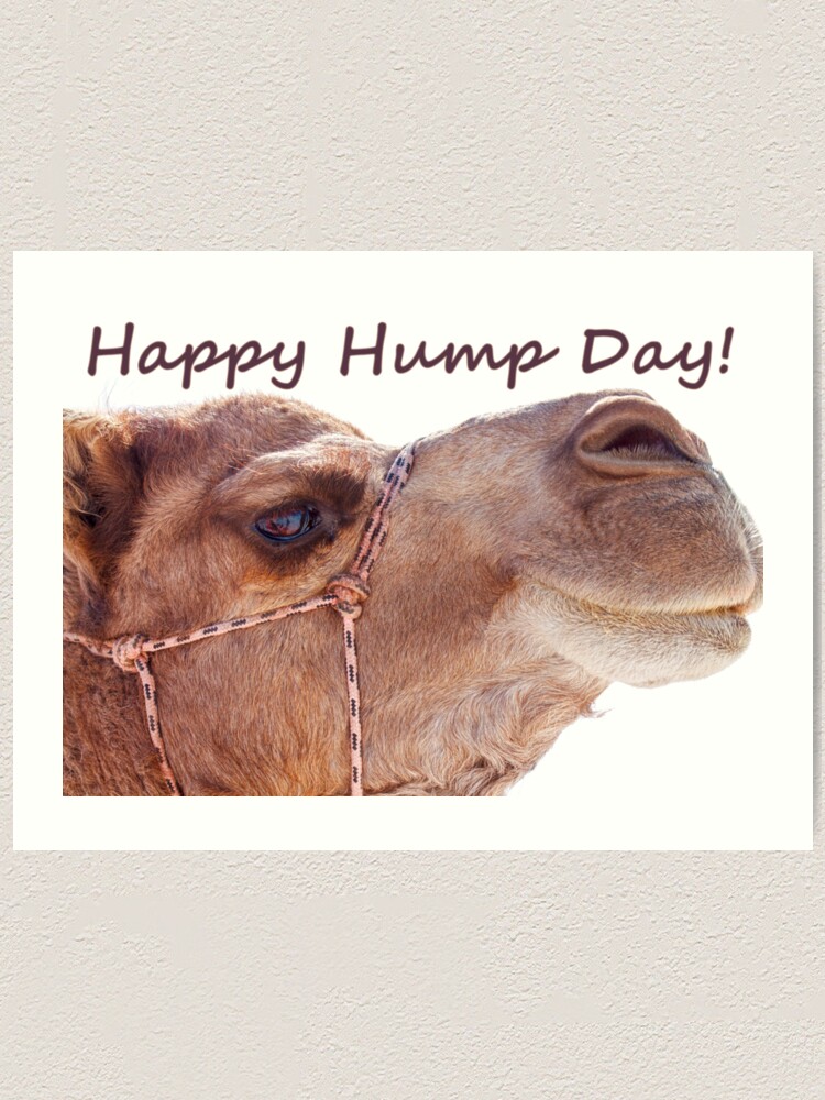 happy-hump-day-art-print-by-lorricrossno-redbubble