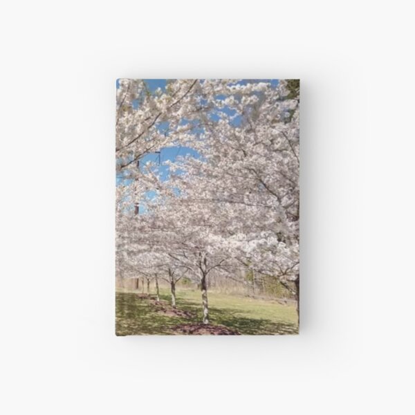 cherry Blossom Alley Hardcover Journal