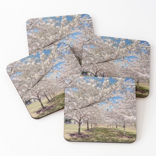 Item preview, cherry Blossom Alley designed and sold by CelticMutt.