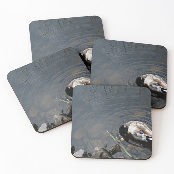 Item preview, Mallard Duck Grooming In The Pond designed and sold by AmberCamera.