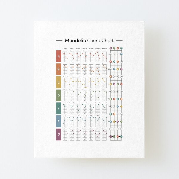 Mini Music Guides: Mandolin Chord Dictionary: Mandolin Book