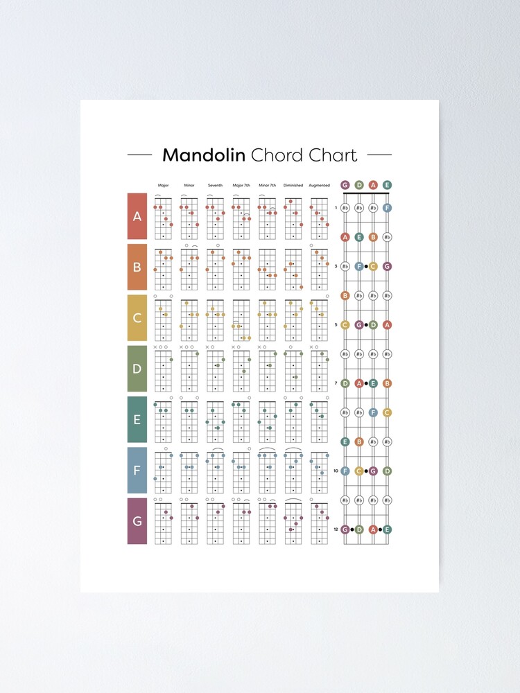 "Mandolin Chord Chart" Poster for Sale by pennyandhorse | Redbubble