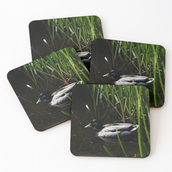 Item preview, Mallard Duck Drifting Atop The Pond designed and sold by AmberCamera.