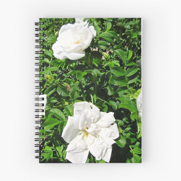 Item preview, Four White Roses designed and sold by Shulie1.