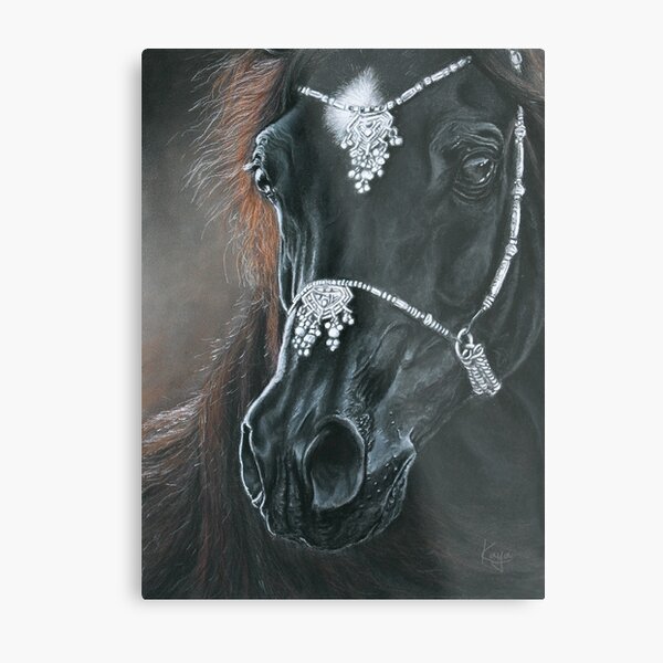 "Black Horse" Pastel portrait Metal Print