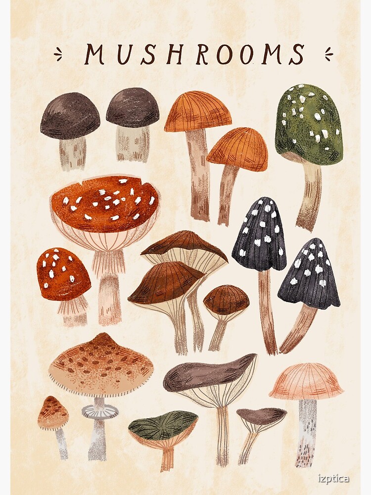 Mushrooms vol.1 | Spiral Notebook