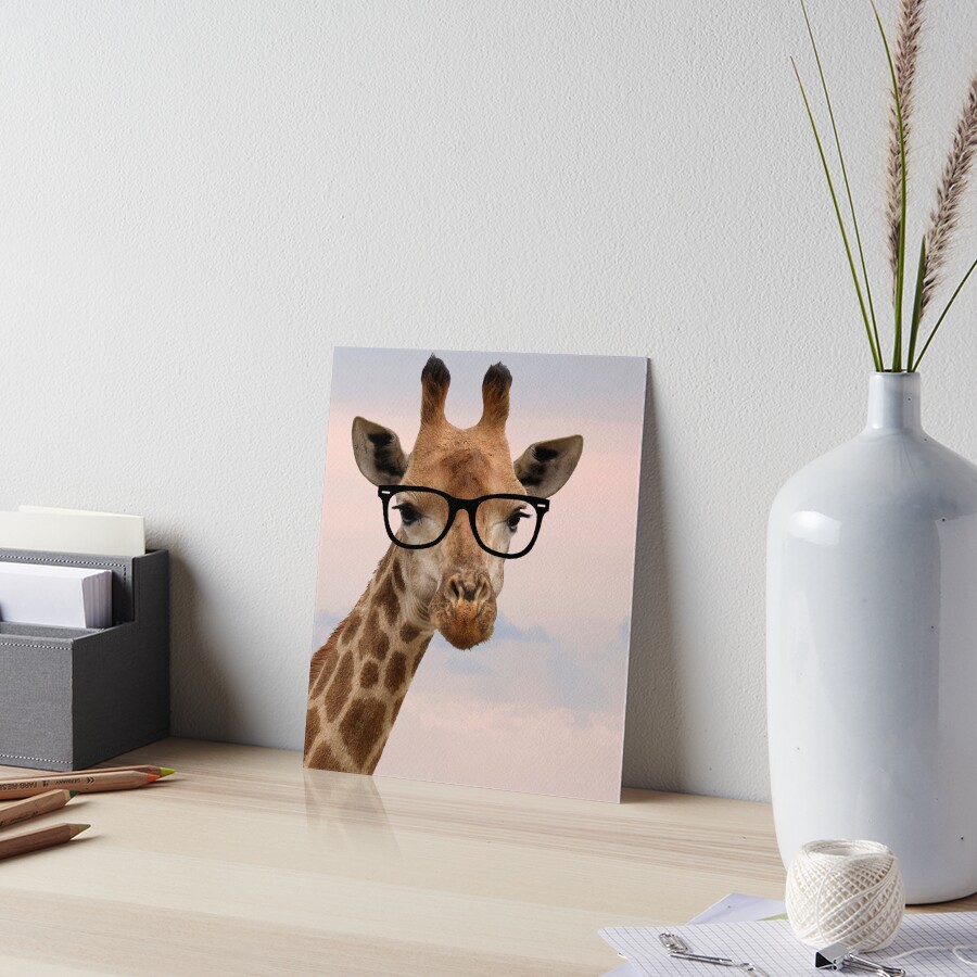 Girafe Portant Des Lunettes De Soleil Rétro Vintage Sweat à