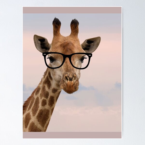 Poster: Giraffe Mit Brillen | Redbubble