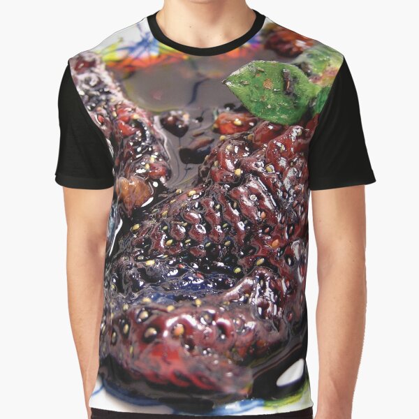 ANIMAL COLLECTIVE lV Graphic T-Shirt