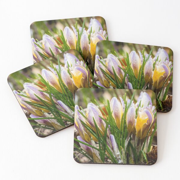 Item preview, Spring Crocus 5 designed and sold by Robert Alsop.