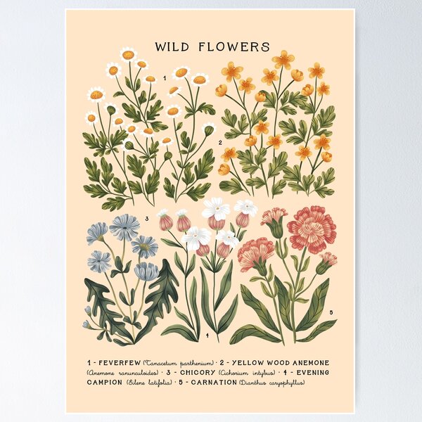 Aperçu de l'œuvre Fleurs sauvages vol.3 Bright créée et vendue par izptica.