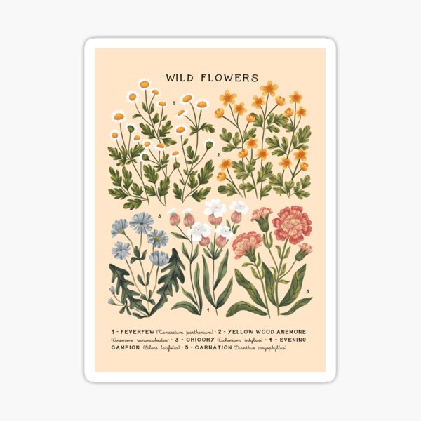 Wild Flowers vol.3 Bright Sticker