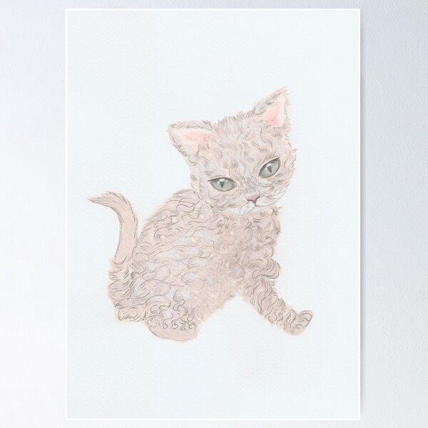 Item preview, Selkirk Rex cat designed and sold by timeforpaint.