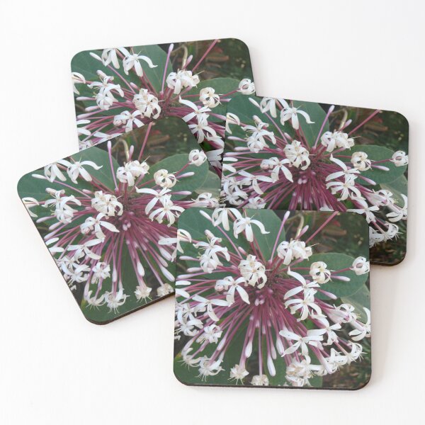 Item preview, Tropical Flowers designed and sold by Monika's Shop.